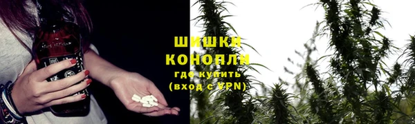 меф Арсеньев