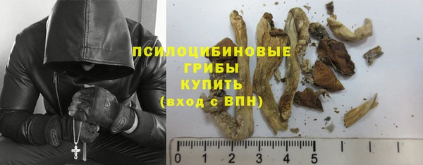 меф Арсеньев