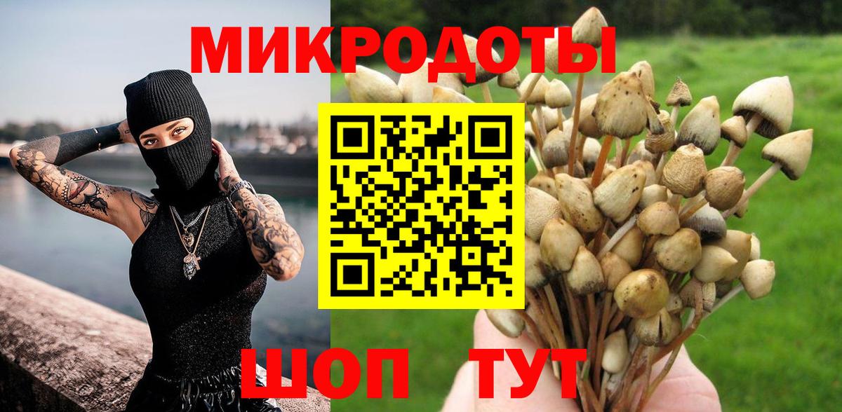 Псилоцибиновые грибы прущие грибы Волгоград
